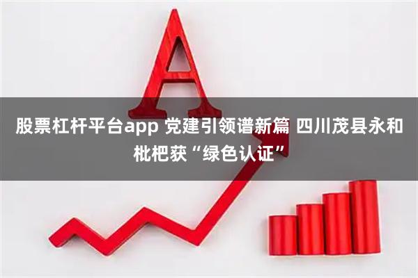 股票杠杆平台app 党建引领谱新篇 四川茂县永和枇杷获“绿色认证”